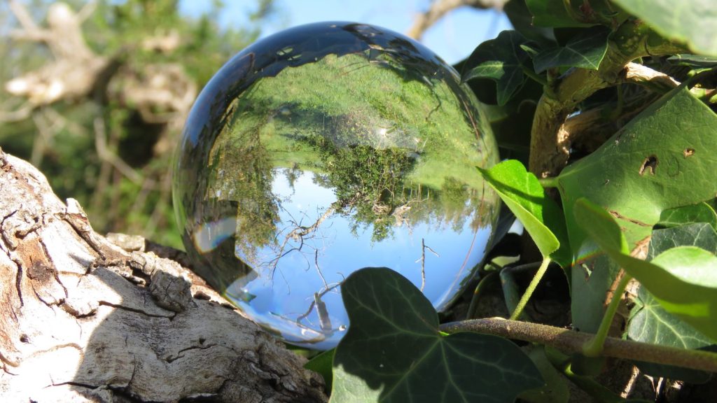 sfera